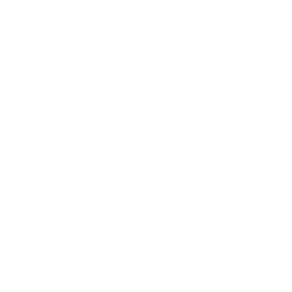 SELO TOP 2025